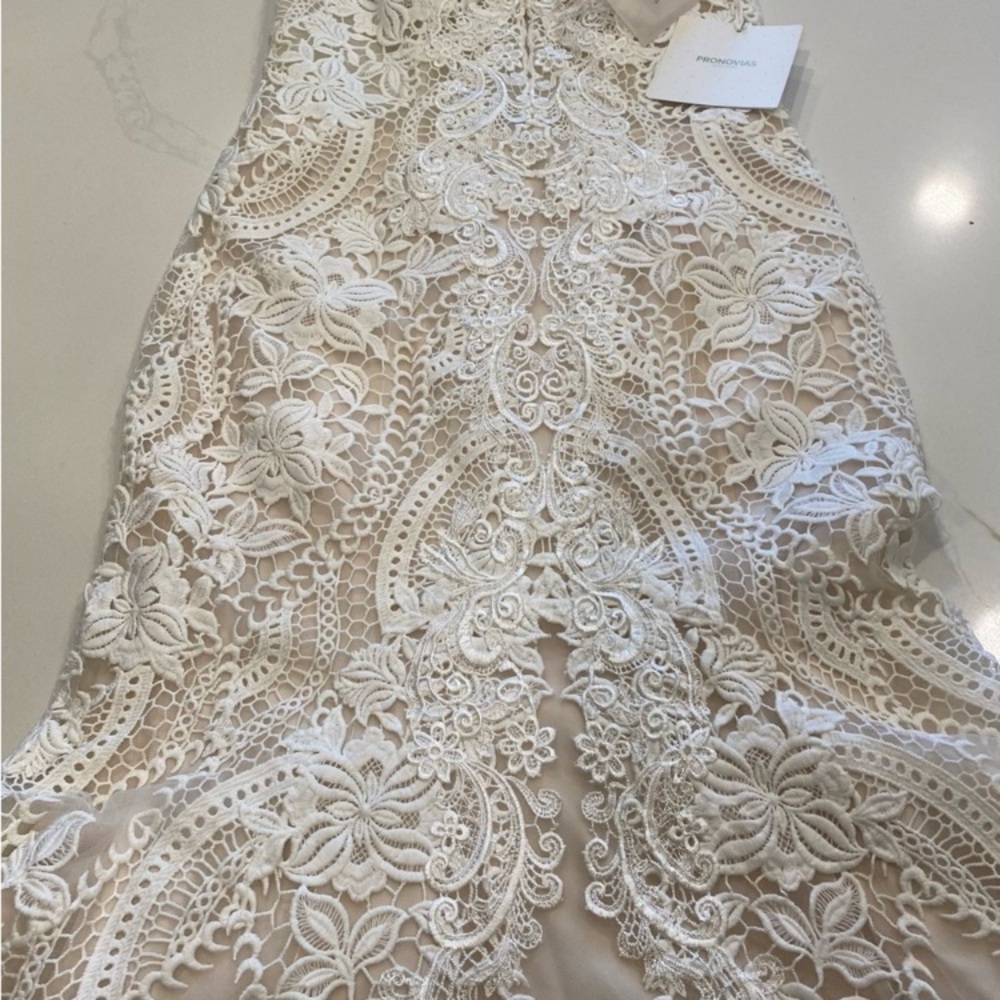 Pronovias White Lace Fit-and-Flare Wedding Dress - Picture 9 of 9